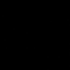 Meet your Posher, Lady